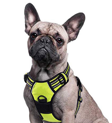 Nylon Reflective Pet Harness Leash For Large Dogs With Pull Handle