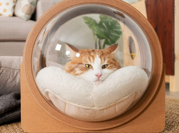 Warm And Cat Bed Capsule For Cat & Dog Made of  Wood
