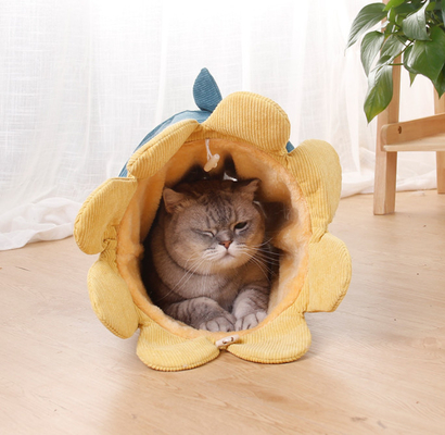 Best Collapsible Cat Tunnel For Large Cats For Indoor